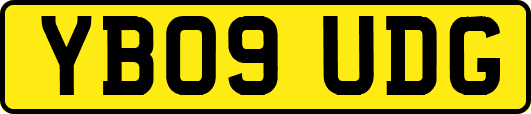 YB09UDG
