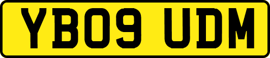 YB09UDM