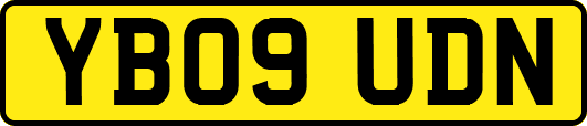 YB09UDN