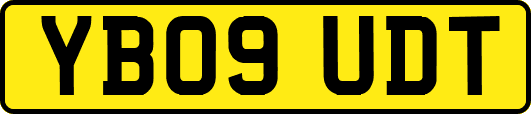 YB09UDT
