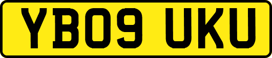 YB09UKU