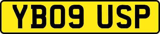 YB09USP