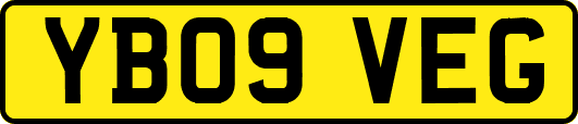 YB09VEG
