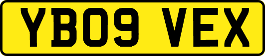 YB09VEX