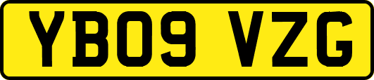 YB09VZG