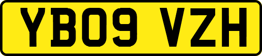 YB09VZH