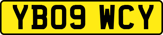 YB09WCY