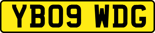 YB09WDG