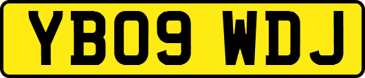 YB09WDJ