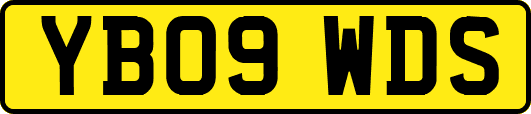 YB09WDS