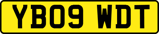 YB09WDT