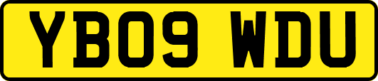 YB09WDU