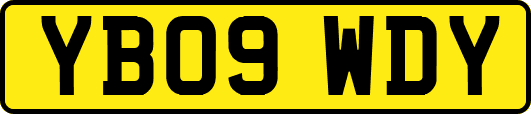 YB09WDY