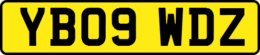 YB09WDZ