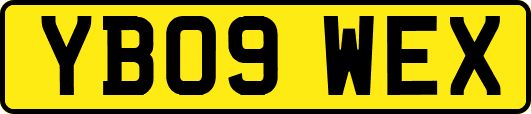 YB09WEX
