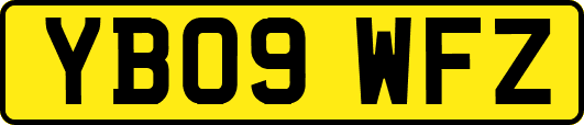 YB09WFZ