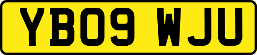 YB09WJU