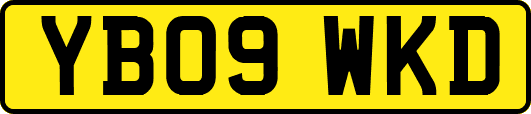 YB09WKD
