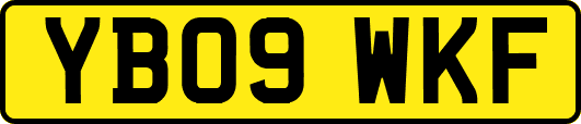 YB09WKF