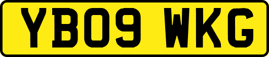 YB09WKG