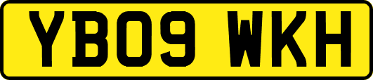 YB09WKH