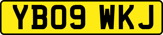 YB09WKJ
