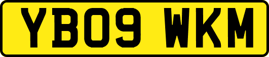 YB09WKM