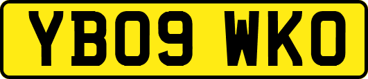 YB09WKO