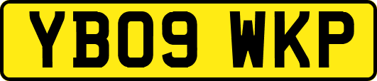 YB09WKP