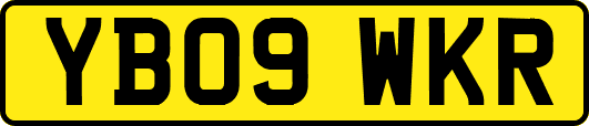 YB09WKR