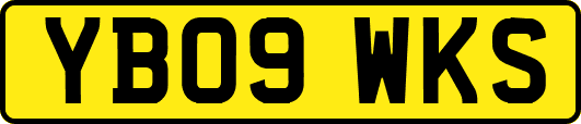 YB09WKS