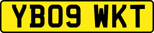 YB09WKT