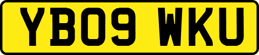 YB09WKU