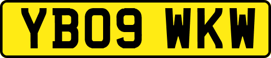 YB09WKW