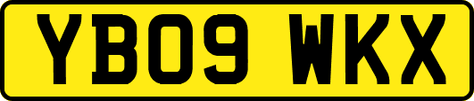 YB09WKX
