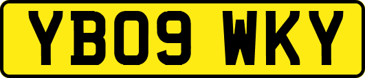 YB09WKY
