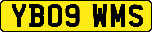 YB09WMS