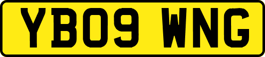 YB09WNG
