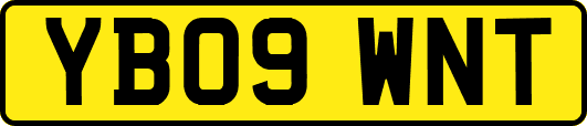 YB09WNT