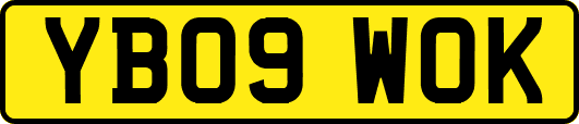 YB09WOK