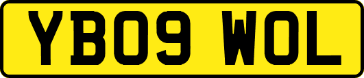 YB09WOL