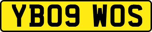 YB09WOS