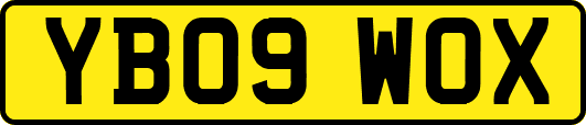 YB09WOX