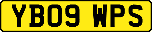 YB09WPS