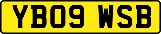 YB09WSB