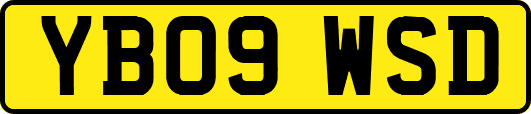 YB09WSD