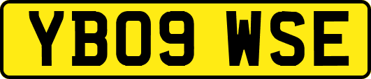 YB09WSE