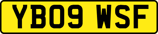 YB09WSF