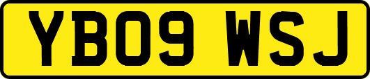 YB09WSJ