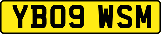 YB09WSM
